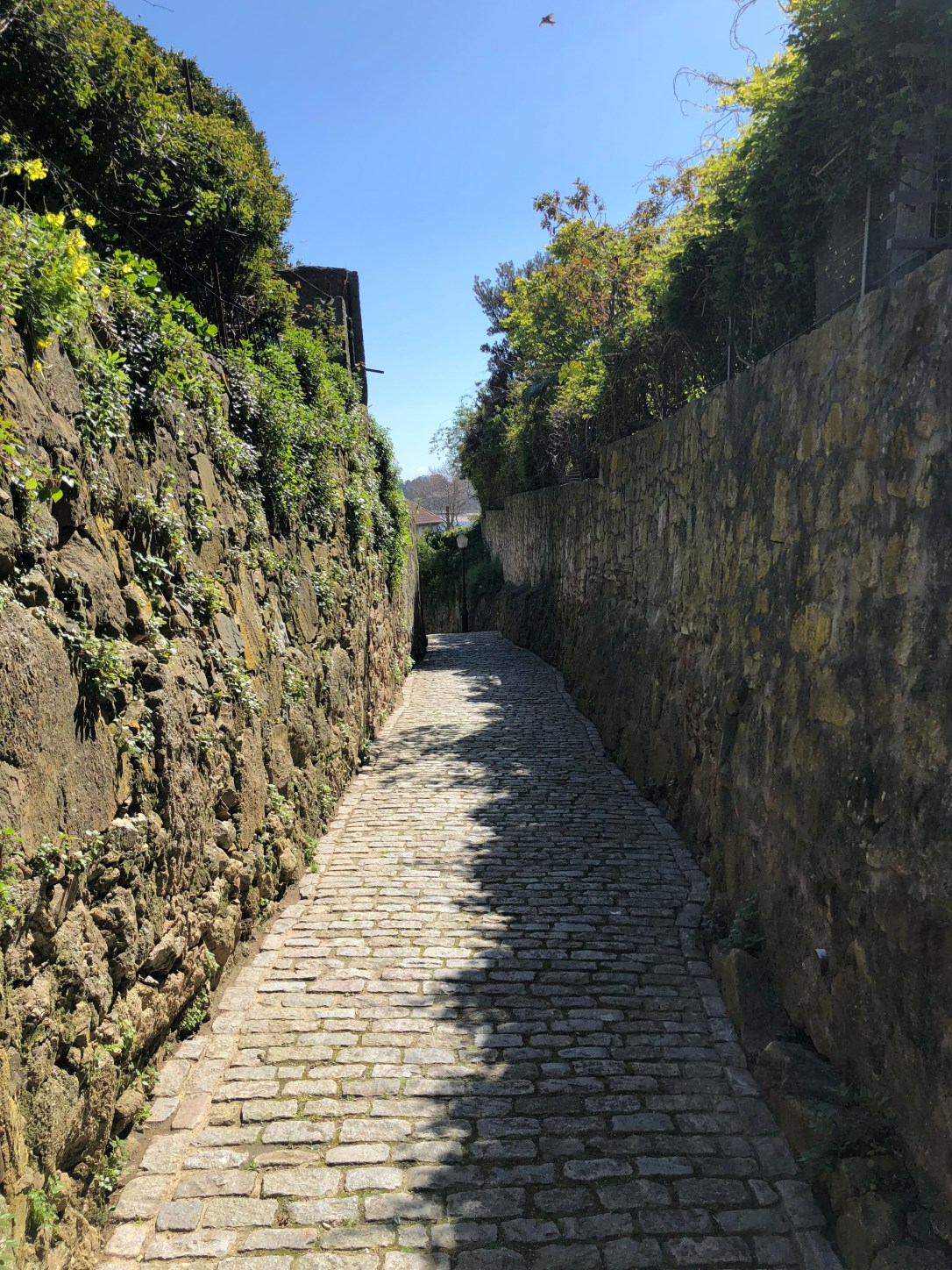 cJhzDlSFTCmbo5HfD0DUqg