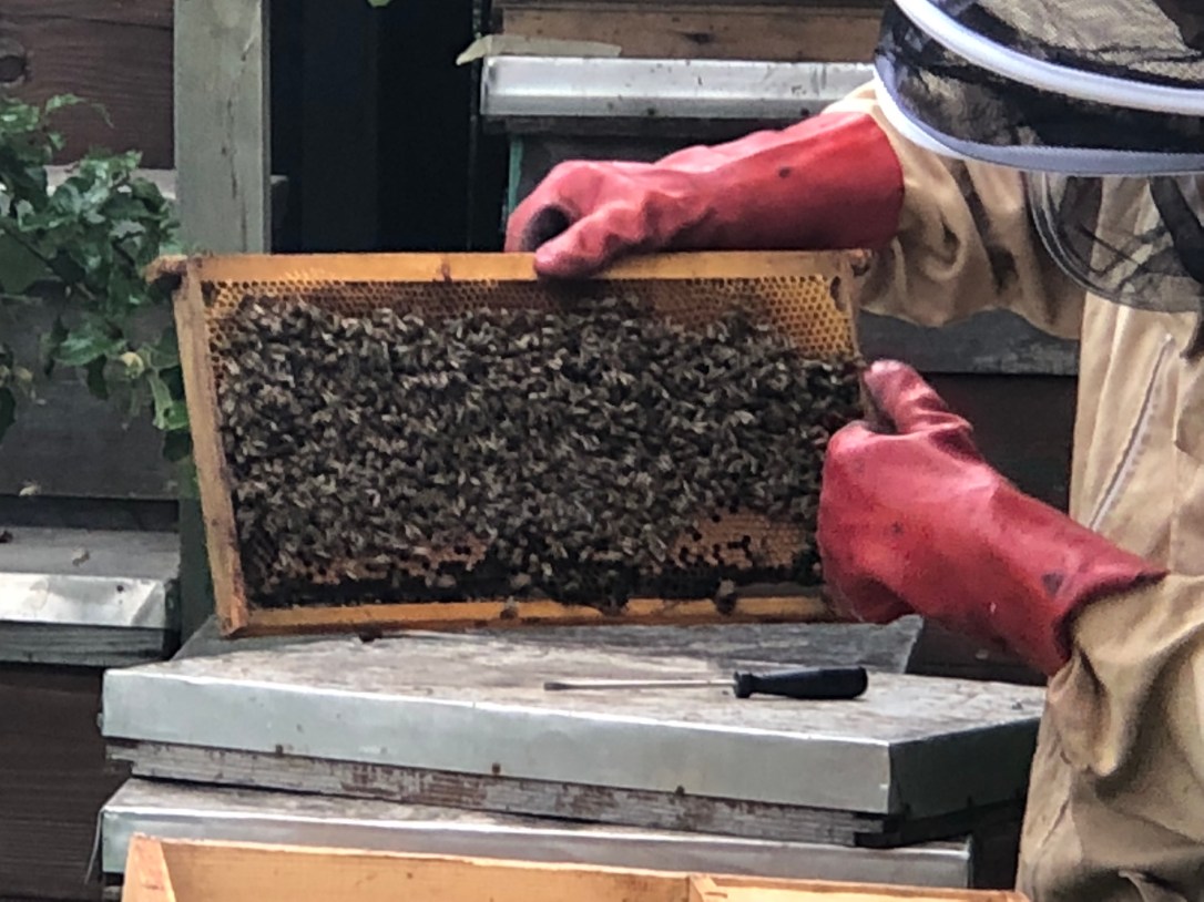 tHTKDeCAQAiOuqaZUcC59A