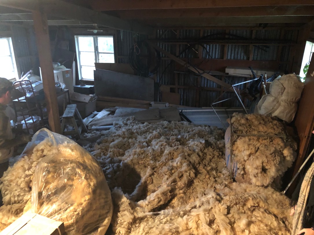 5wpzmBPoRIKo73orqRGxaw