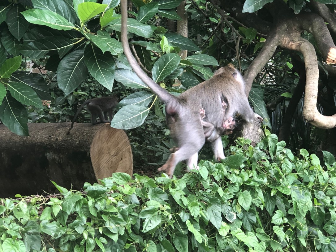 IPoaKdYFTemFuF92UnynhQ